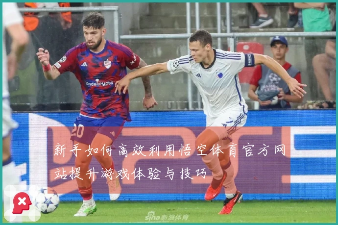 新手如何高效利用悟空体育官方网站提升游戏体验与技巧