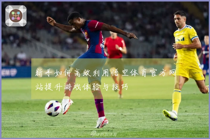 新手如何高效利用悟空体育官方网站提升游戏体验与技巧